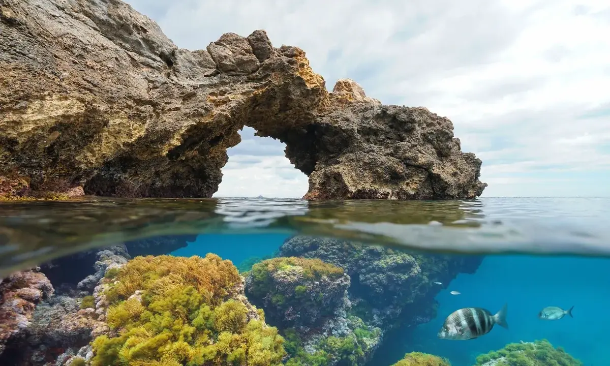 Arco natural en el cabo tiñoso, con vida marina y algas bajo el agua cristalina.