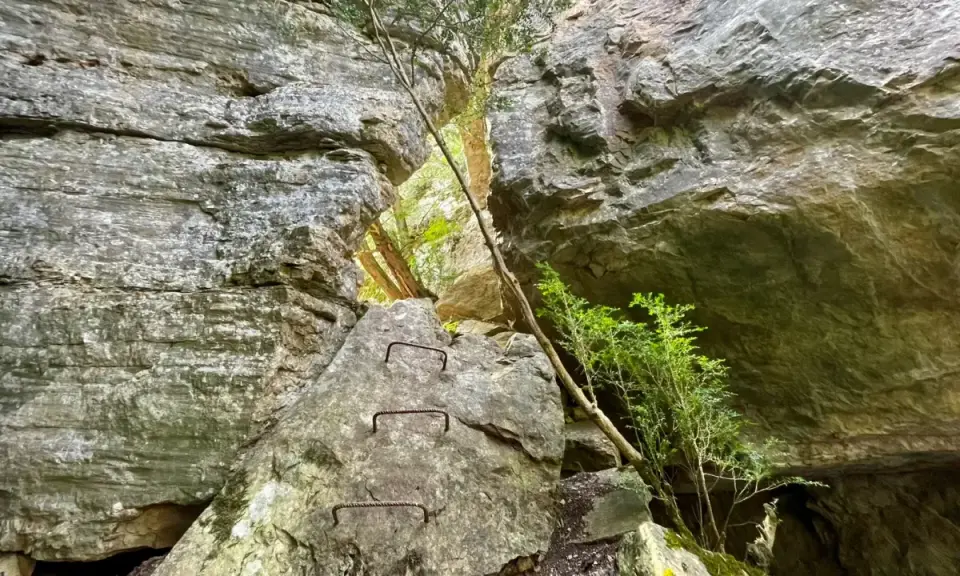 Escalones de hierro incrustados en roca, parte de los avencs de la febró, con vegetación verde y luz filtrándose entre las grietas.