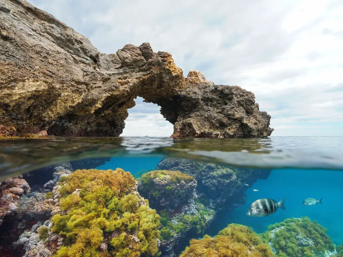 Arco natural en el cabo tiñoso, con vida marina y algas bajo el agua cristalina.