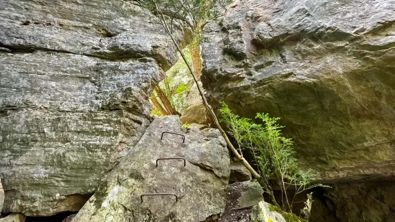 Escalones de hierro incrustados en roca, parte de los avencs de la febró, con vegetación verde y luz filtrándose entre las grietas.