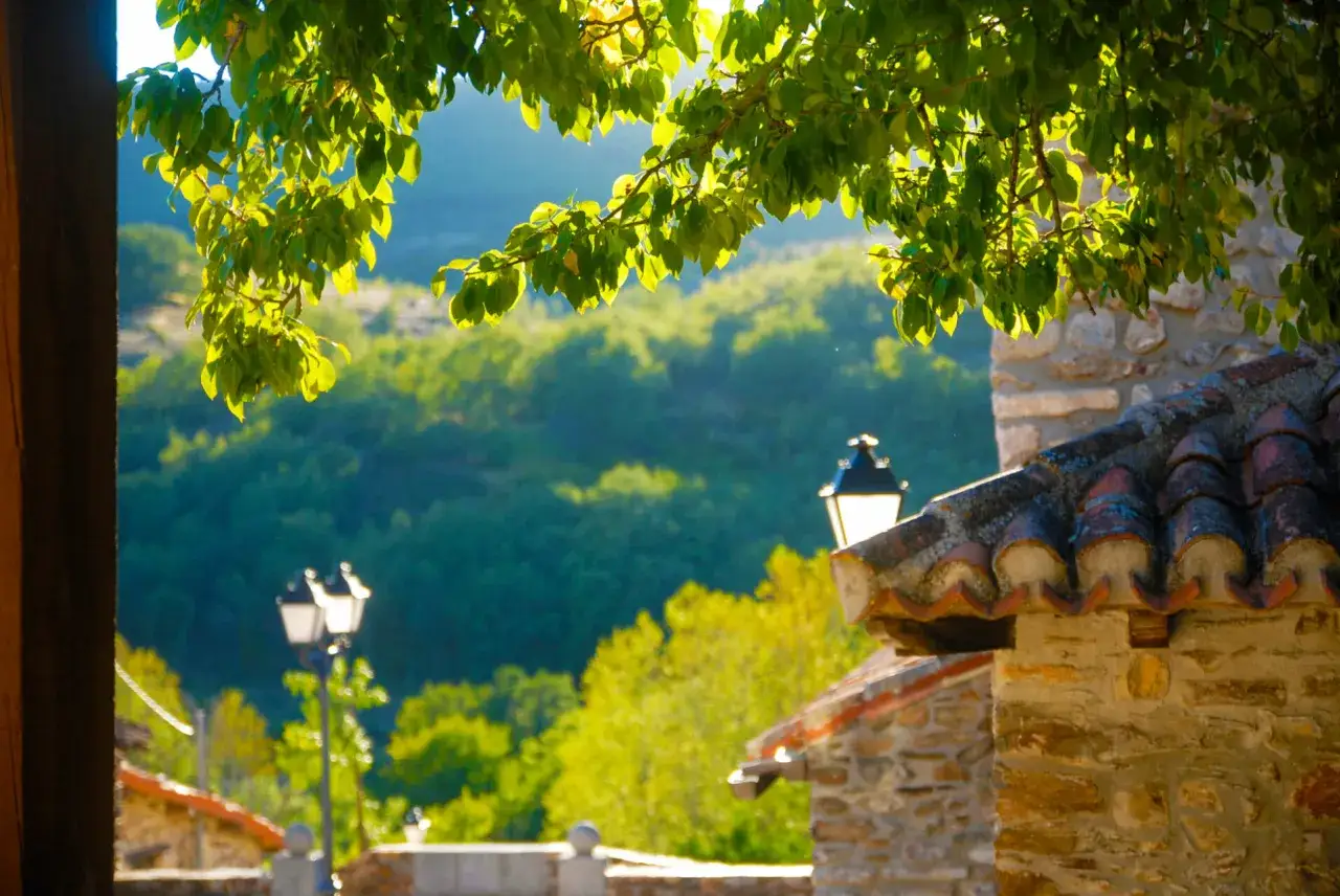 Ramas verdes en primer plano, con tejados de teja y farolas que anuncian la llegada a pueblos de la sierra de Madrid.